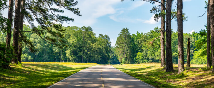 Natchez Trace Parkway through Mississippi